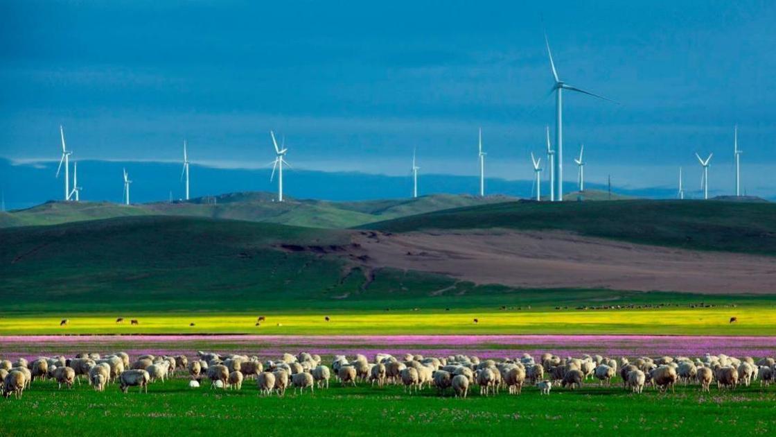 内蒙古草原上的温馨时光，探寻日常故事中的温情与美好