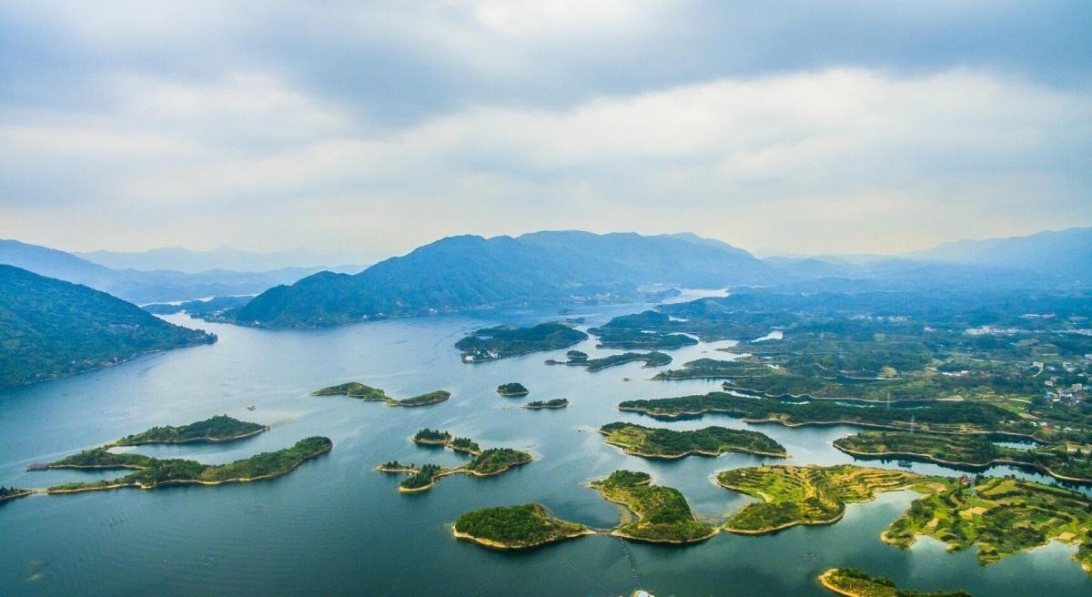 湖北，致敬领导与同胞的团结之声