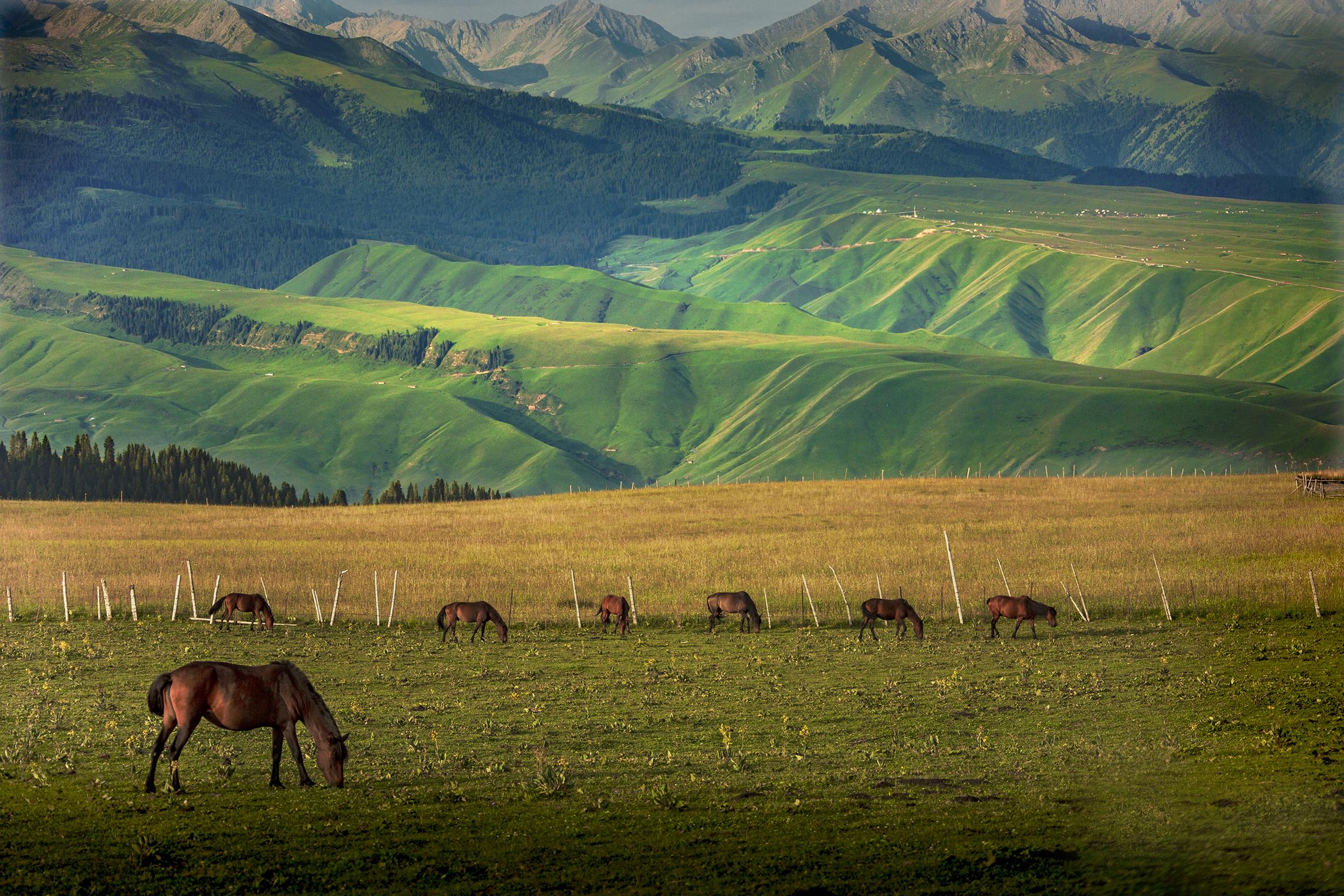 新疆之声，探寻美丽新疆的播音之旅